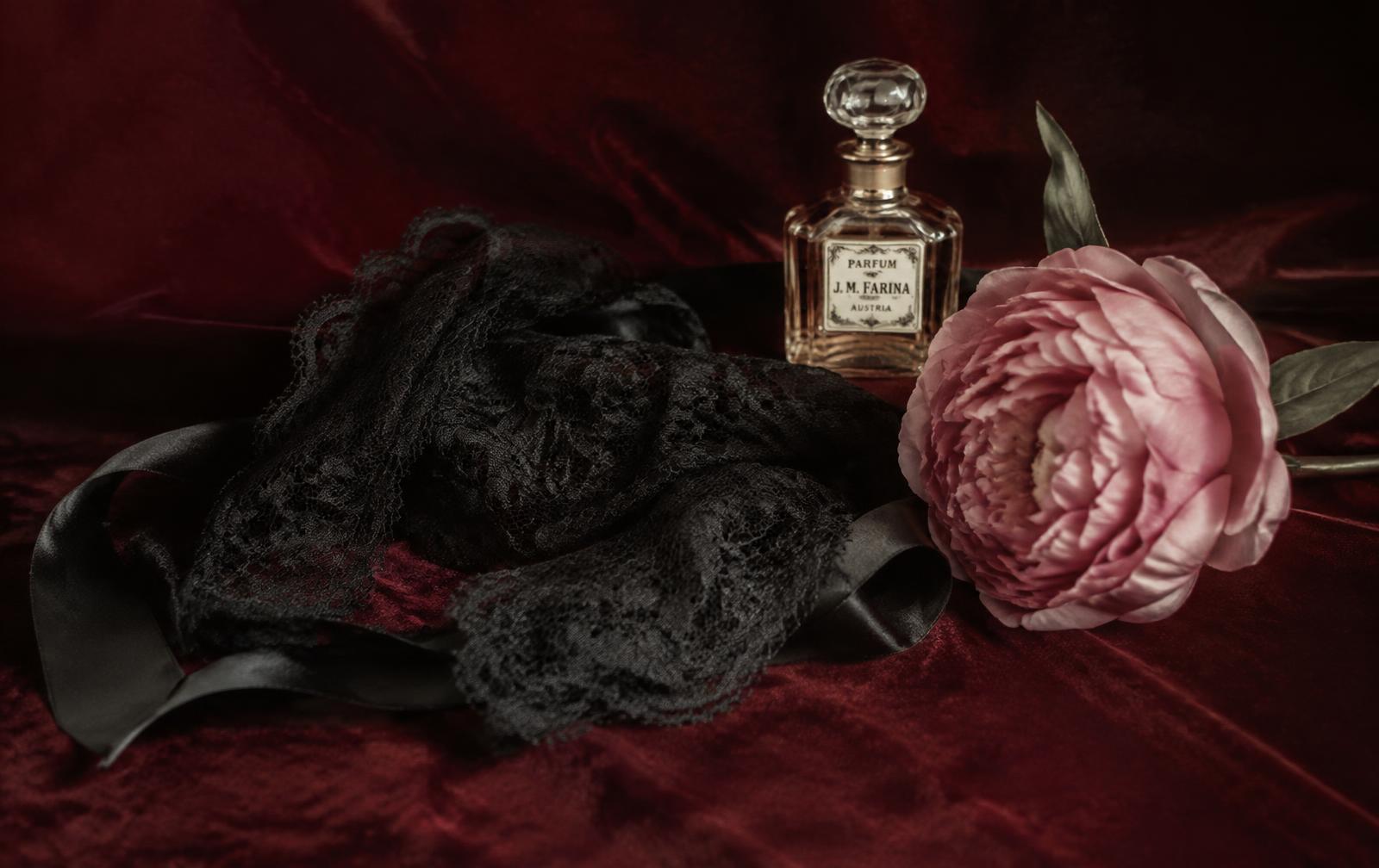 Black lace and a pink peony on wine velvet